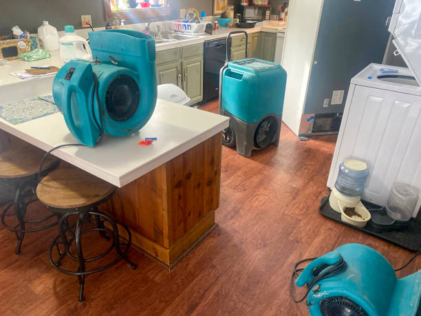 Best Water damage cleanup near me  in Sundown, TX