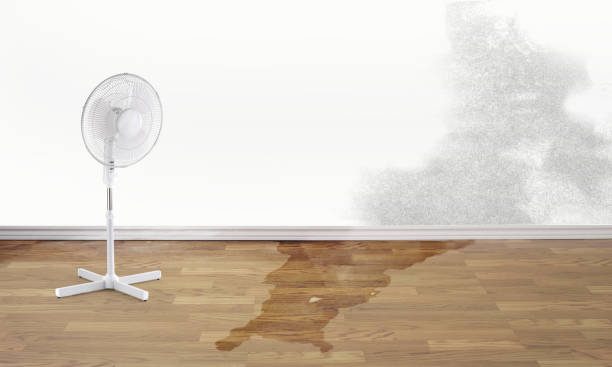Best Water damage contractors near me  in Sundown, TX