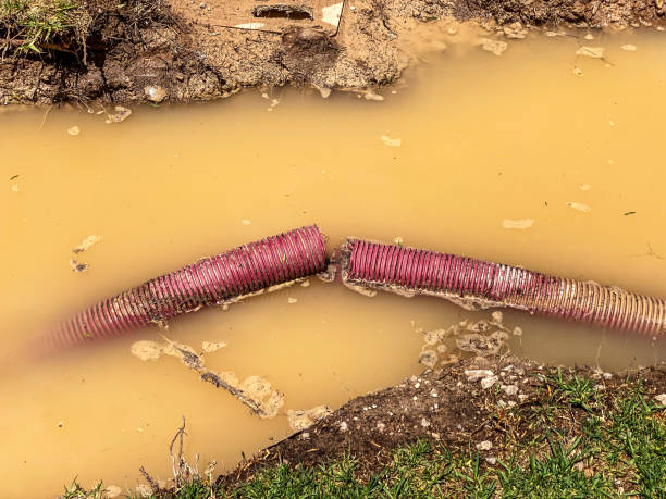 Best Basement water damage restoration  in Sundown, TX